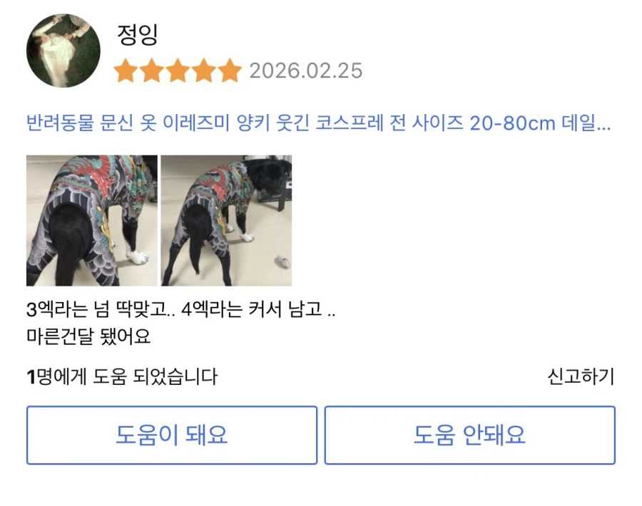 입혀놓으면 귀여운데 산책시킬때 부끄러운 강아지옷_5.webp