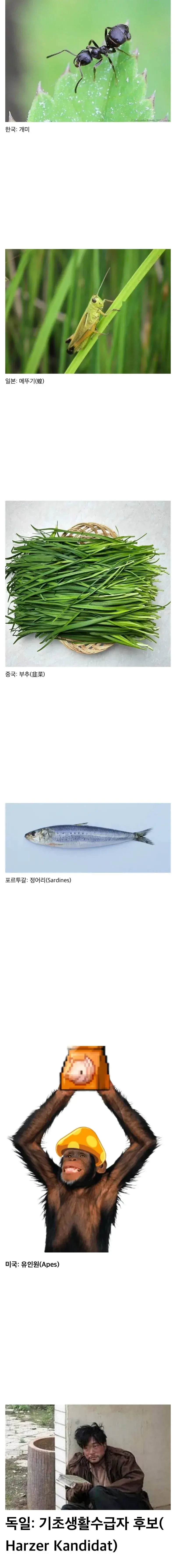 국가별로 주식 개인투자자를 부르는 별명_1.webp