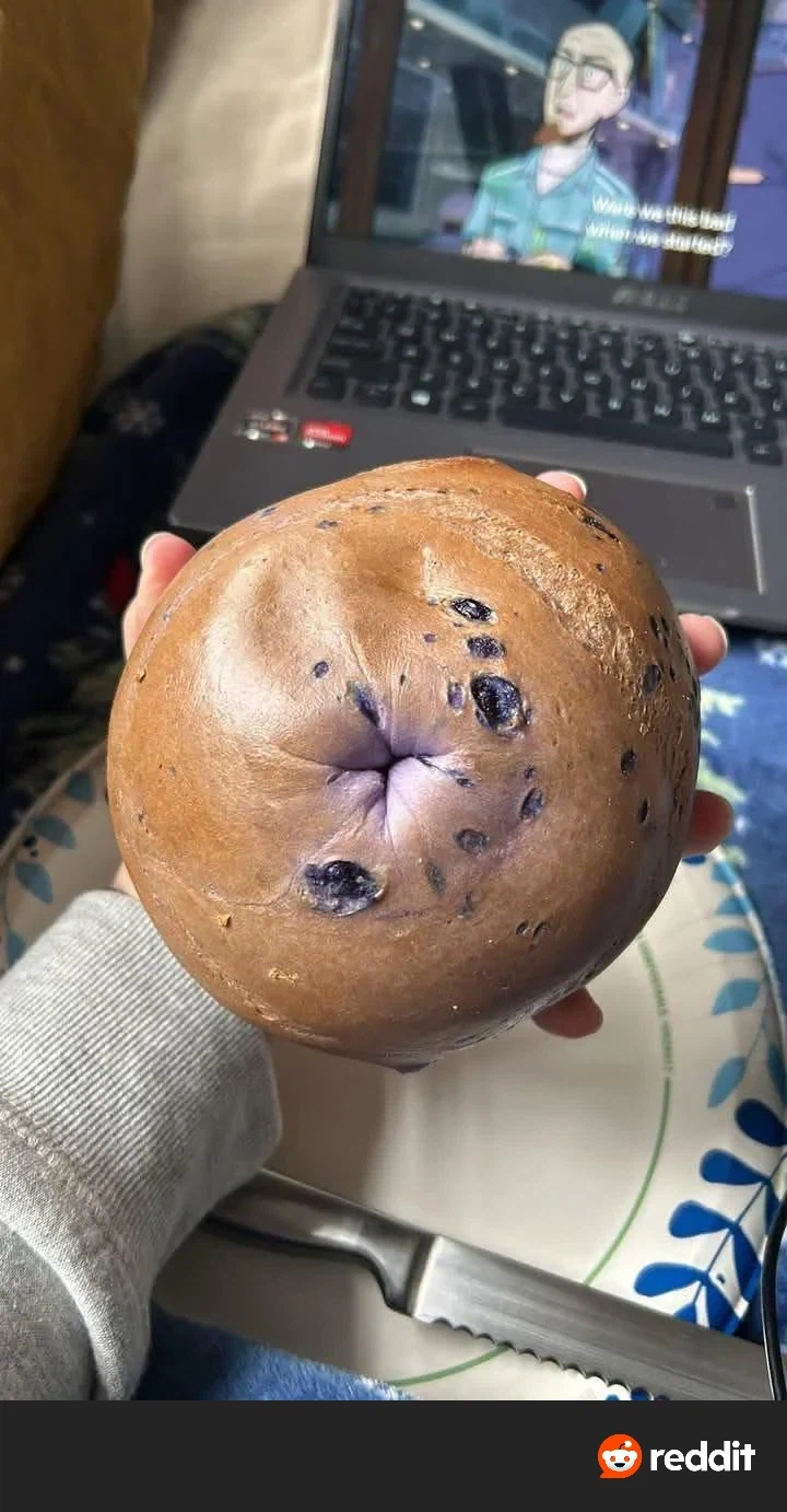 그저 맛있는 블루베리베이글일뿐입니다_1.webp