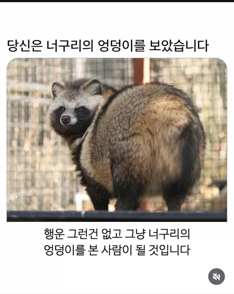 유혹하는 빵댕이_1.webp