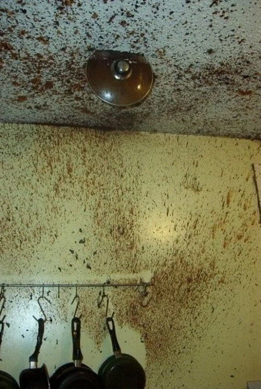 망한 요리 모음.jpg_7.webp