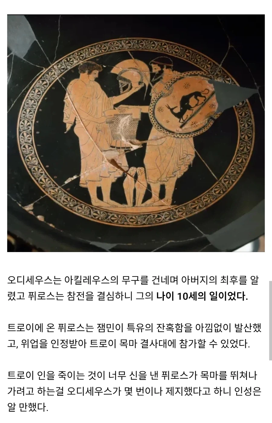 사람들은 잘 모르는 아킬레우스의 아들 이야기.jpg_2.webp