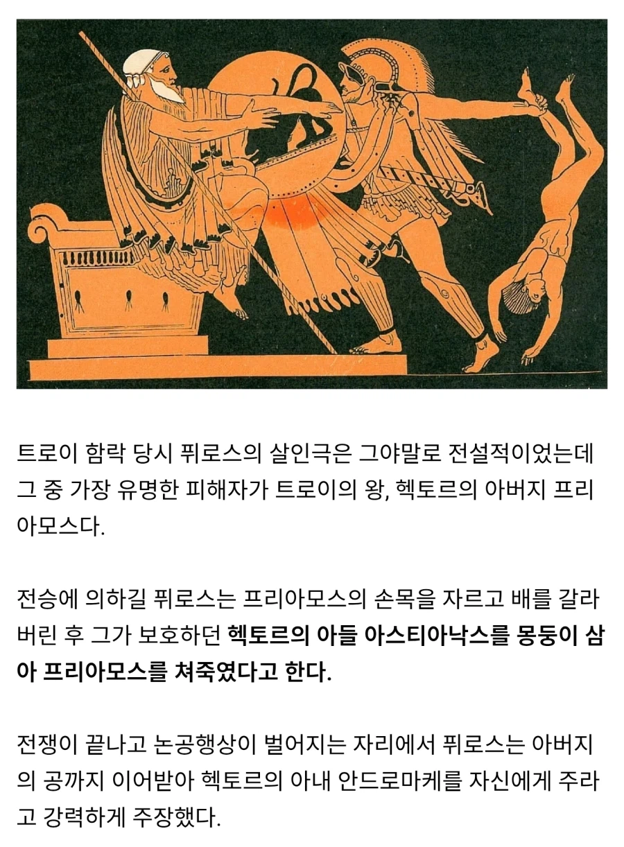 사람들은 잘 모르는 아킬레우스의 아들 이야기.jpg_3.webp