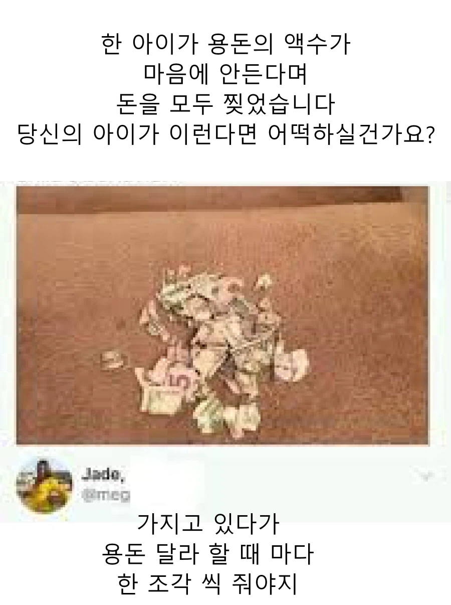 한 아이가 용돈의 액수가 마음에 안든다며 돈을 모두 찢었습니다_1.webp