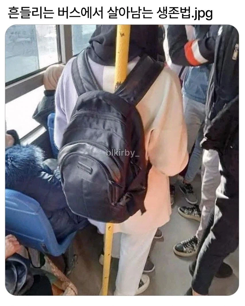 흔들리는 버스에서 살아남는 법_1.webp