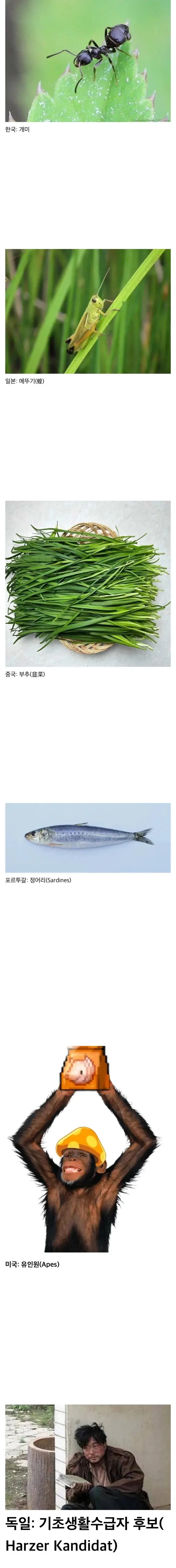 국가별로 주식 개인투자자를 부르는 별명_1.webp