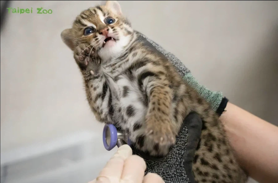 무슨무슨법으로는 나를 구속할 수 없다!!_1.webp