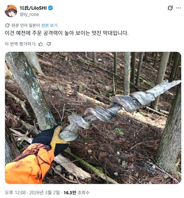 산에서 주운 공격력이 높아 보이는 막대기_2.webp