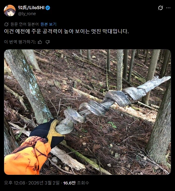 공격력이 높아보이는 매우 멋진 나무막대기.jpg_1.webp