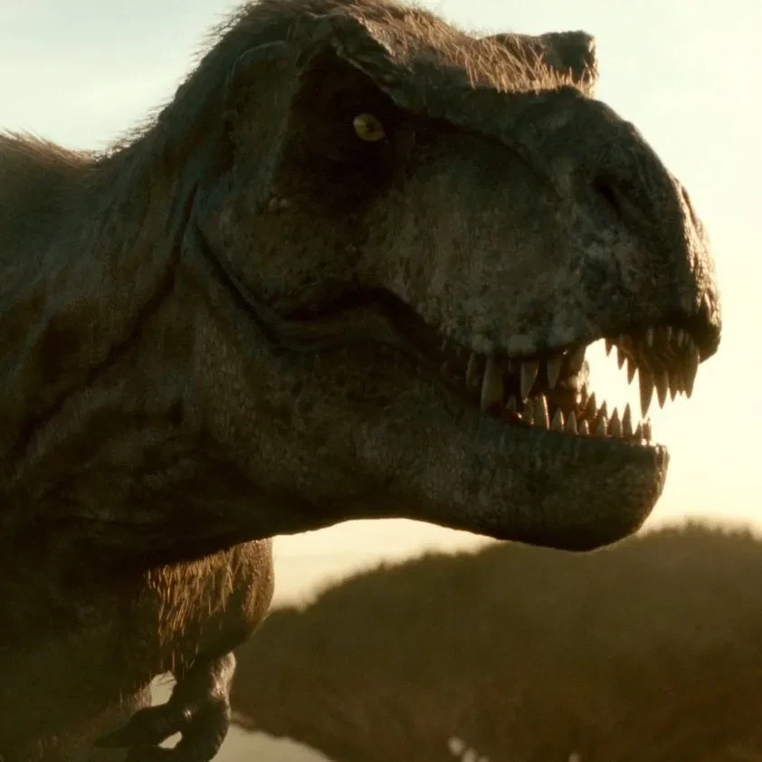 여태까지 음해받았던 동물_1.webp