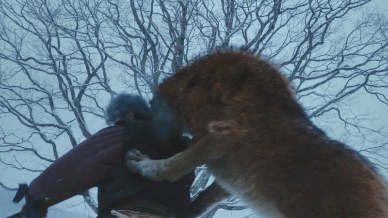 홋카이도의 마지막 늑대를 사냥하는 이유_30.webp