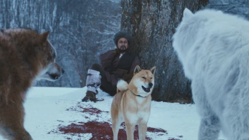 홋카이도의 마지막 늑대를 사냥하는 이유_34.webp