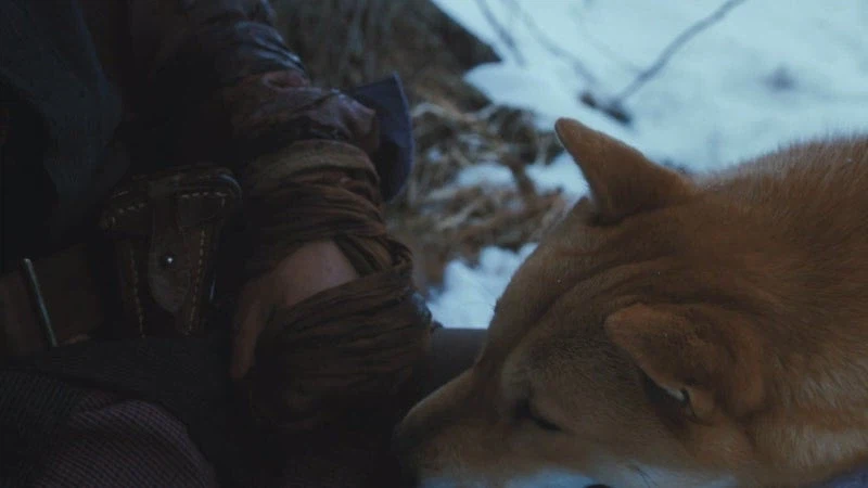 홋카이도의 마지막 늑대를 사냥하는 이유_35.webp