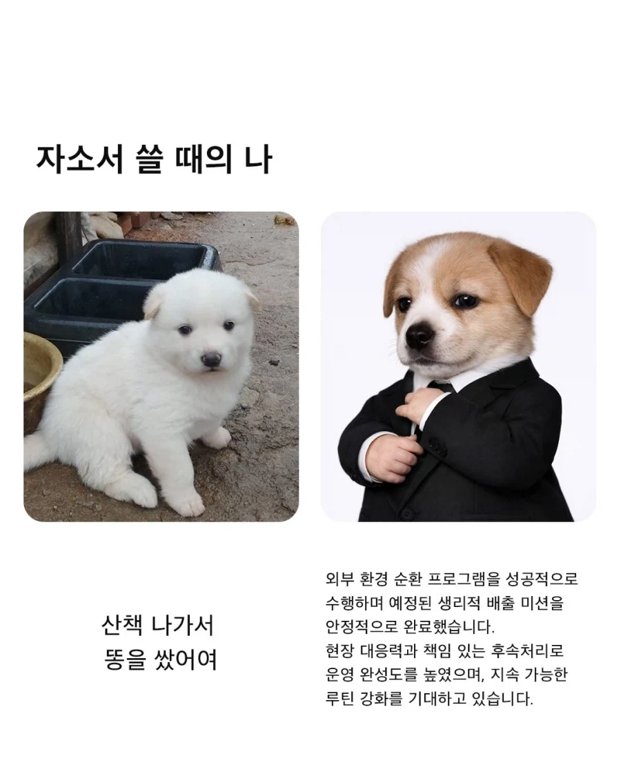 자소서 쓸 때의 나_1.webp