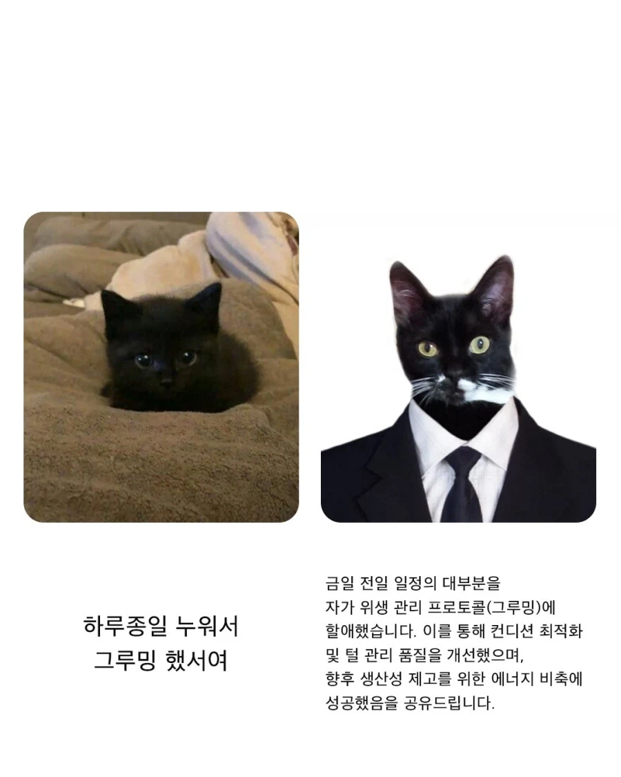 자소서 쓸 때의 나_2.webp