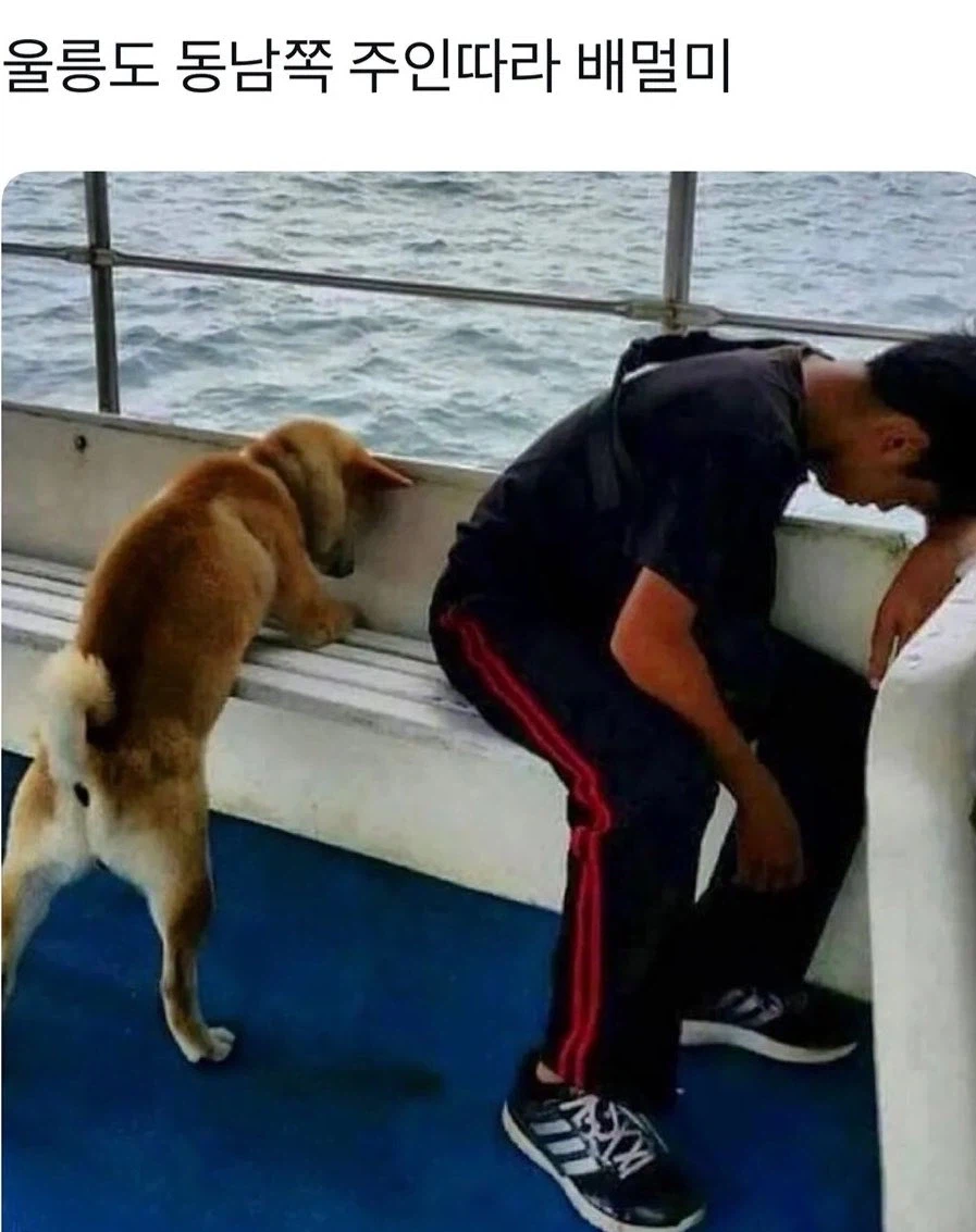 울릉도~ 동남쪽~~_1.webp