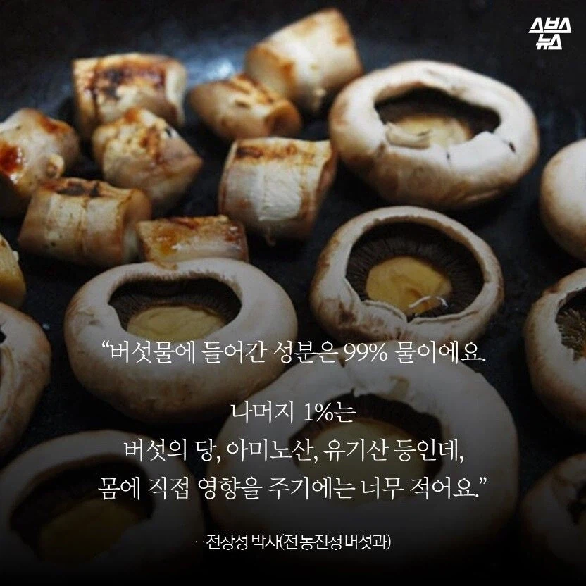 역사 속에 묻어야 할 끔찍한 진실_1.webp