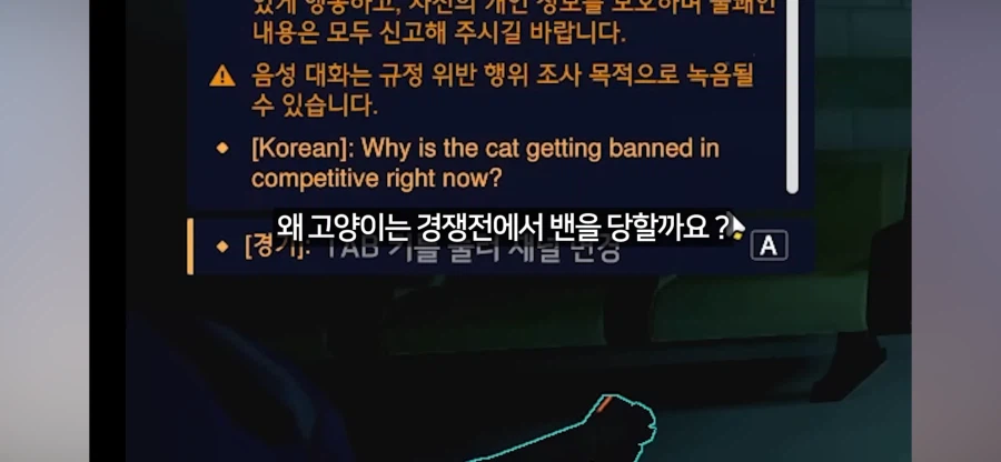 오버워치 미국 서버 고양이 인식 특_1.webp