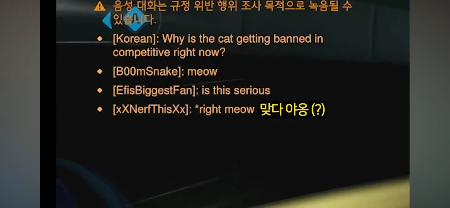 오버워치 미국 서버 고양이 인식 특_3.webp