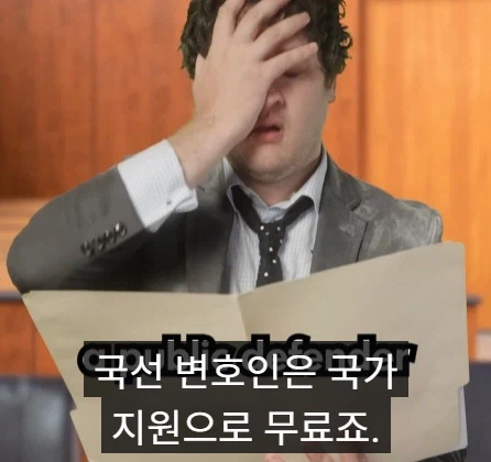 국선 변호사와 사선 변호사의 차이점.jpg_5.webp