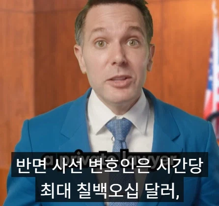 국선 변호사와 사선 변호사의 차이점.jpg_6.webp