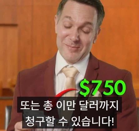 국선 변호사와 사선 변호사의 차이점.jpg_7.webp