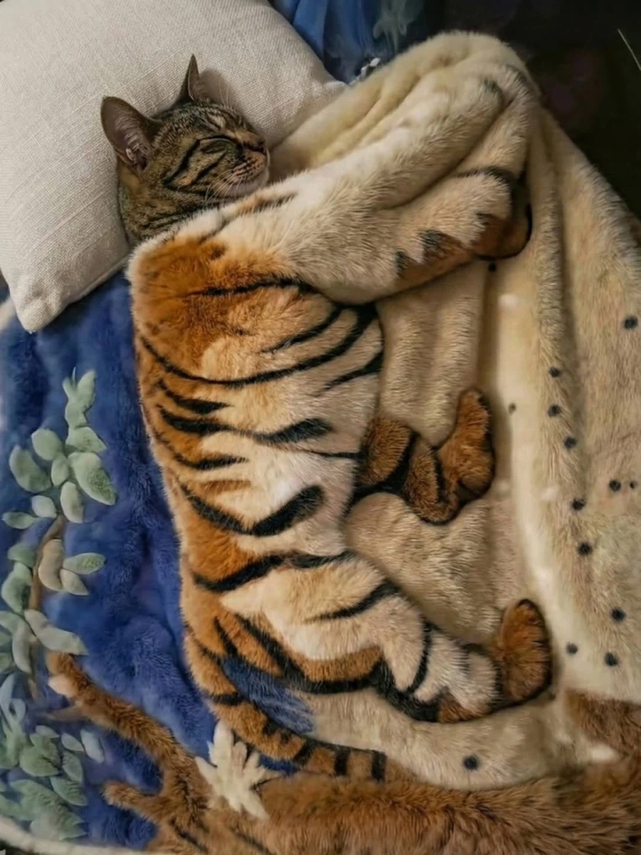 고양이용 담요..._1.webp