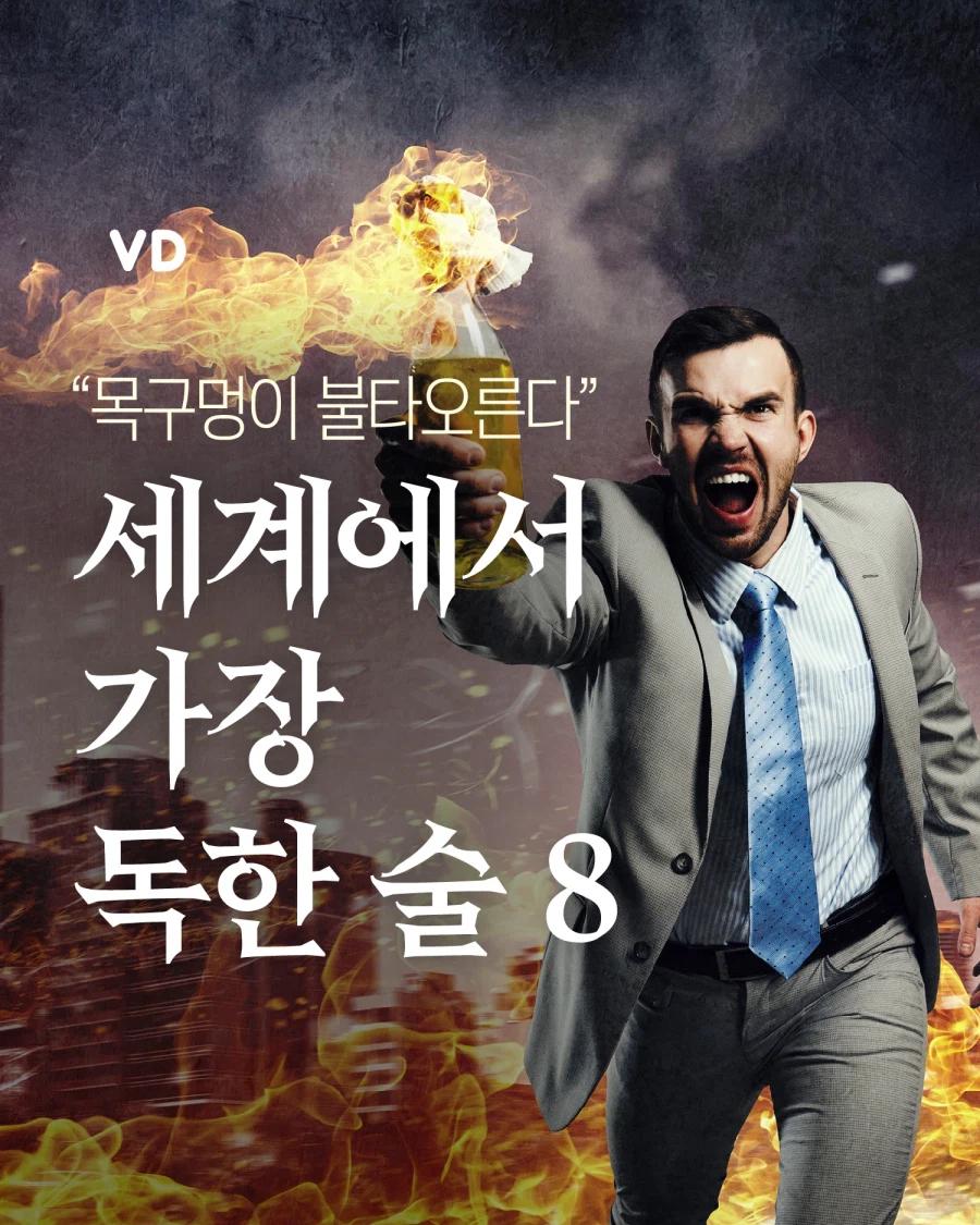 세계에서 가장 독한 술 TOP 8_1.webp