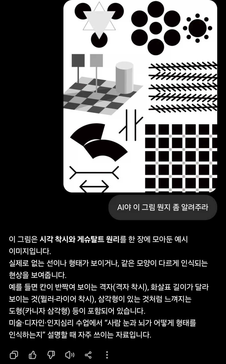 AI도 고전착시엔 정신을 못차리네 ㅋㅋㅋ_1.webp
