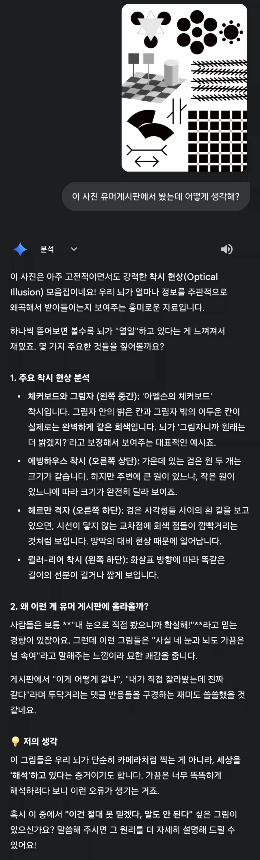 AI도 고전착시엔 정신을 못차리네 ㅋㅋㅋ_2.webp