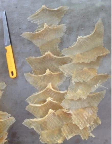 의외로 샥스핀 대체품.jpg_2.webp