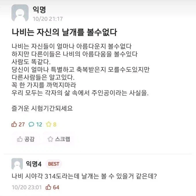 나비는 자신의 날개를 볼 수 없다.jpg_1.webp