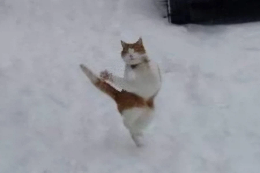 나 사회성 낮음_1.webp