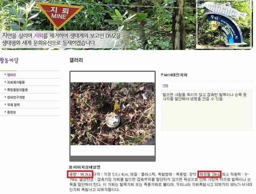 비오고 난 뒤에 민통선 출입 금지시키는 이유_1.webp