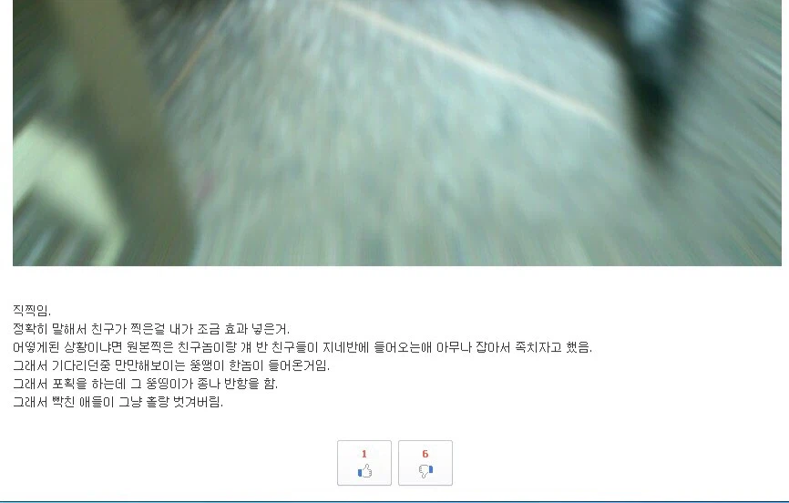 영계백숙 사건이란것도 있었는데_1.webp