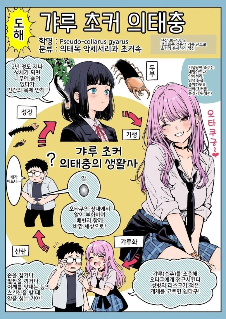 오타쿠에게 친절한 갸루가 나오는 과정_1.webp