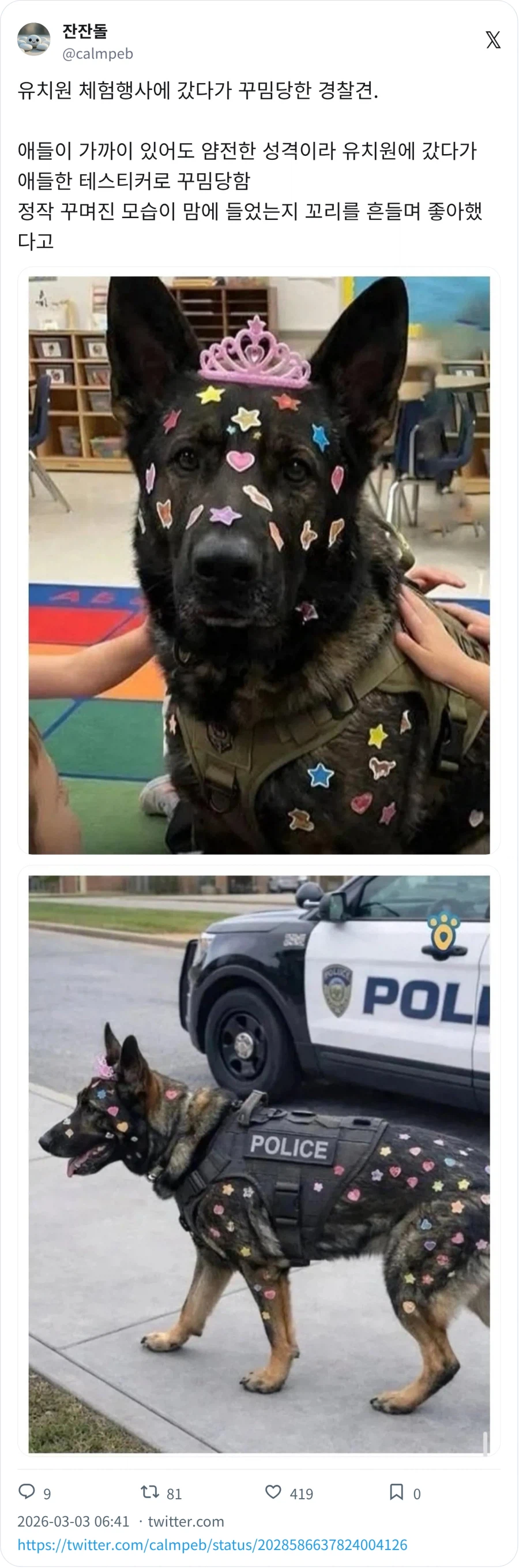 덕지덕지 경찰견_1.webp