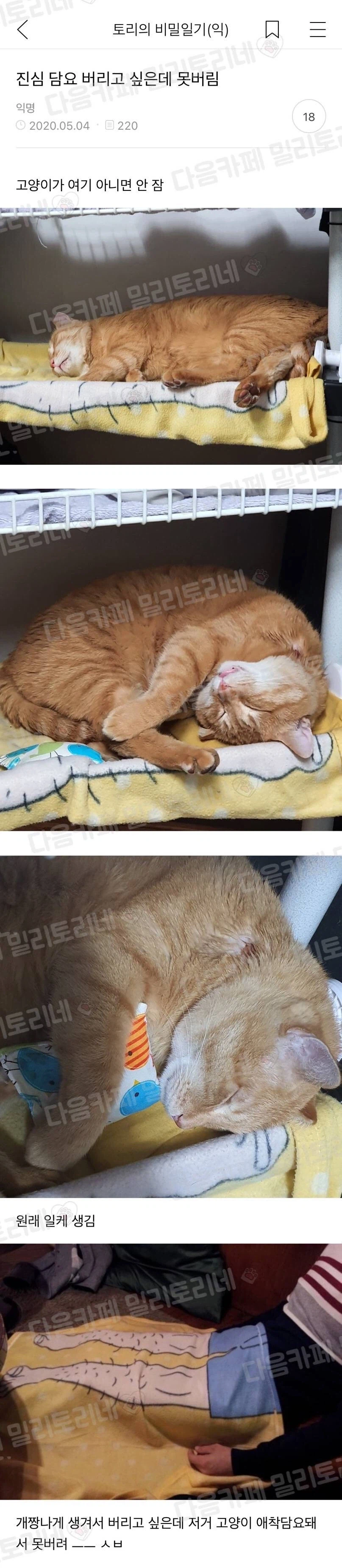 버리고 싶은데 못 버리는 담요.jpg_1.webp