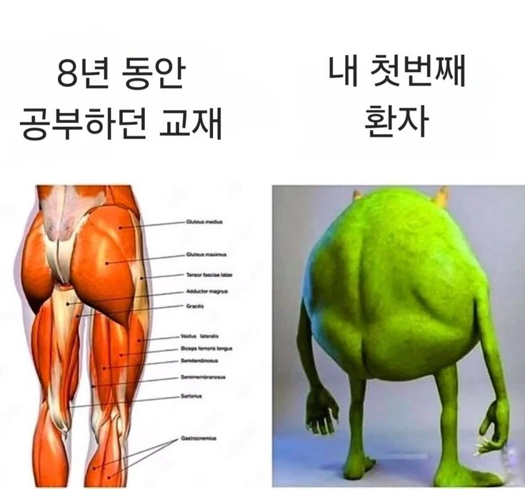 언제나 현실은 삭막한 법_1.webp