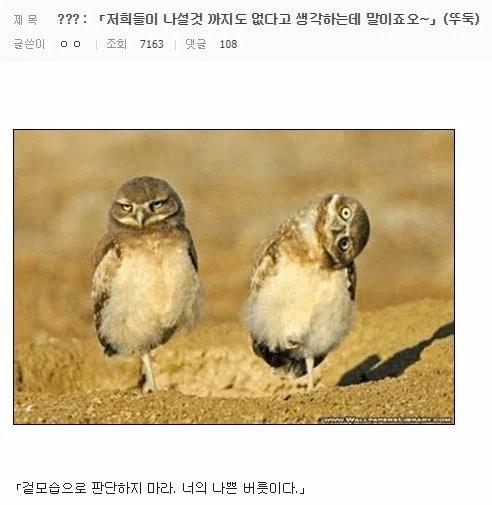 클리쉐 모음_6.webp