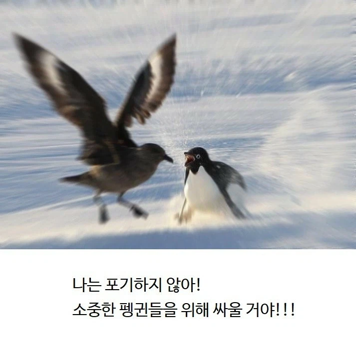 클리쉐 모음_7.webp