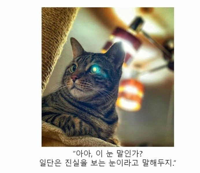 클리쉐 모음_8.webp