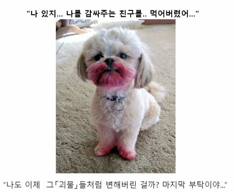 클리쉐 모음_10.webp