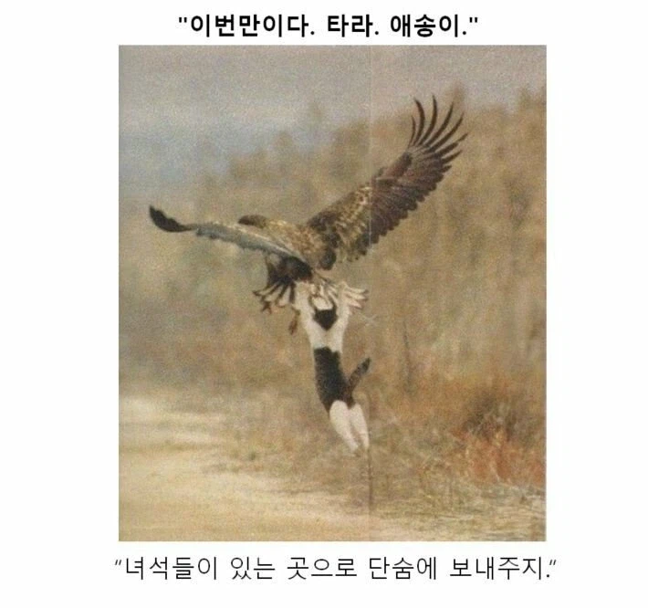 클리쉐 모음_13.webp