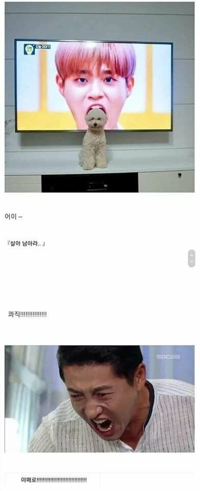 클리쉐 모음_15.webp