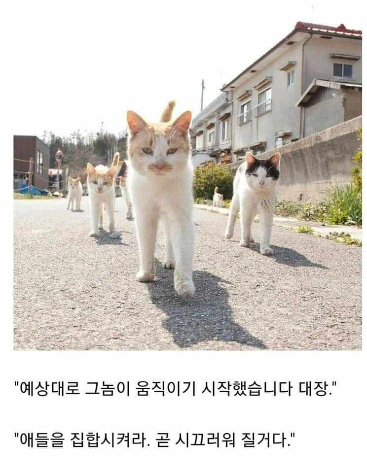 클리쉐 모음_17.webp