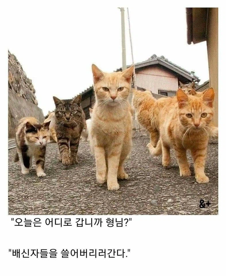 클리쉐 모음_18.webp