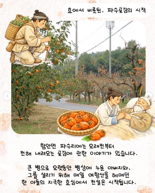 곶감에서 인심 난다_1.webp