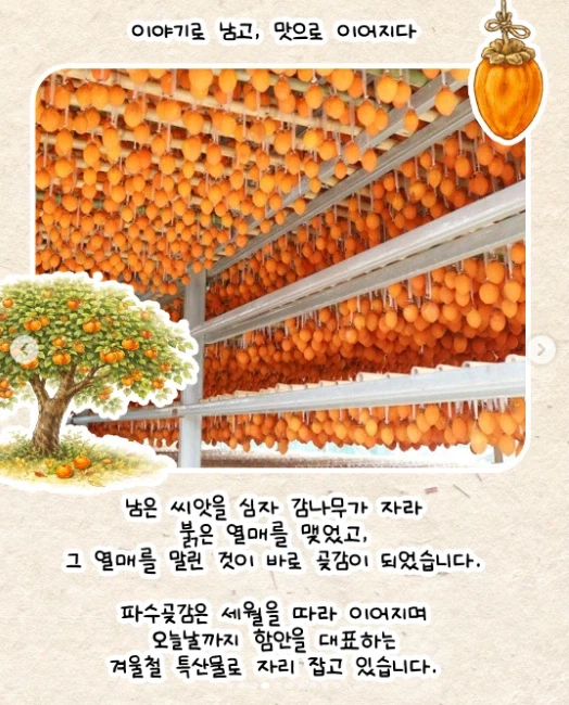 곶감에서 인심 난다_3.webp