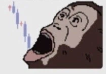 지금 주식 상황_1.webp